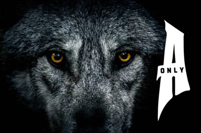 Alphas Only - Lead The Pack.
